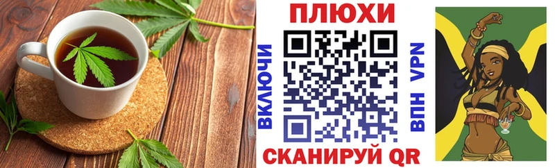 Canna-Cookies марихуана  darknet наркотические препараты  Волосово 