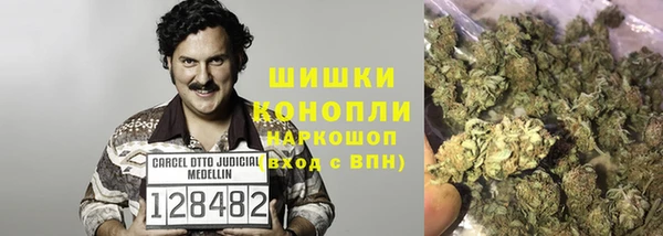 трава Беломорск