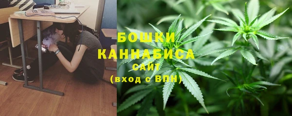 стафф Белокуриха