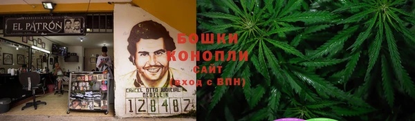 трава Беломорск