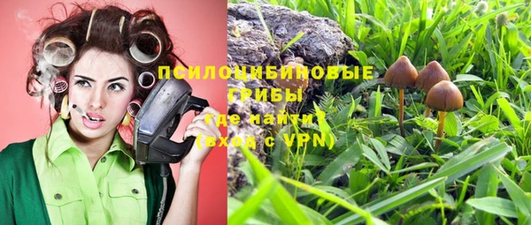 прущая мука Белоозёрский